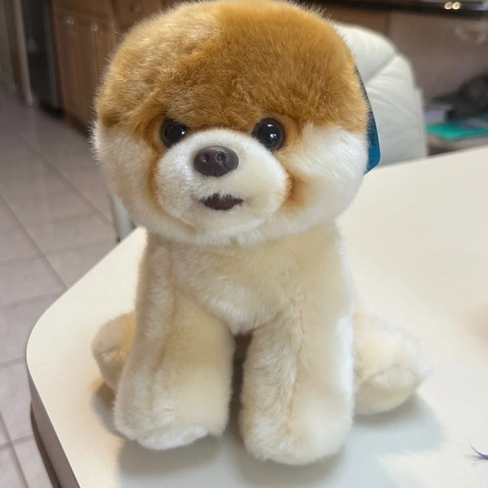 🆕 GUND 'Boo - World's Cutest Dog' Stuffed Animal - NEW WITH TAGS!